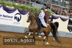 20YN_65621 thumbnail