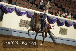 20YN_65724 thumbnail