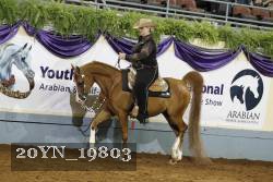 20YN_19803 thumbnail