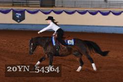 20YN_54364 thumbnail