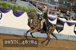 20YN_48784 thumbnail