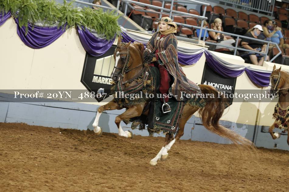 Proof Number 20YN_48807