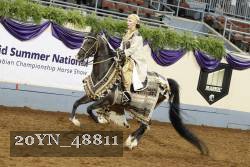20YN_48811 thumbnail