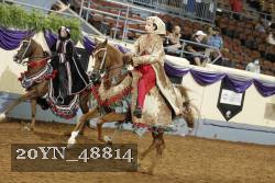 20YN_48814 thumbnail