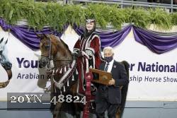 20YN_48824 thumbnail