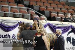 20YN_48852 thumbnail