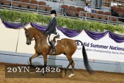 20YN_24826 thumbnail