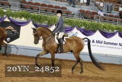 20YN_24852 thumbnail