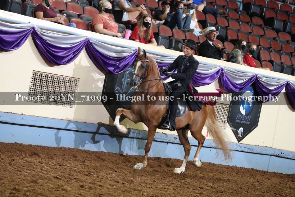 Proof Number 20YN_71999