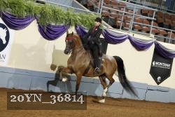 20YN_36814 thumbnail