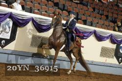 20YN_36915 thumbnail
