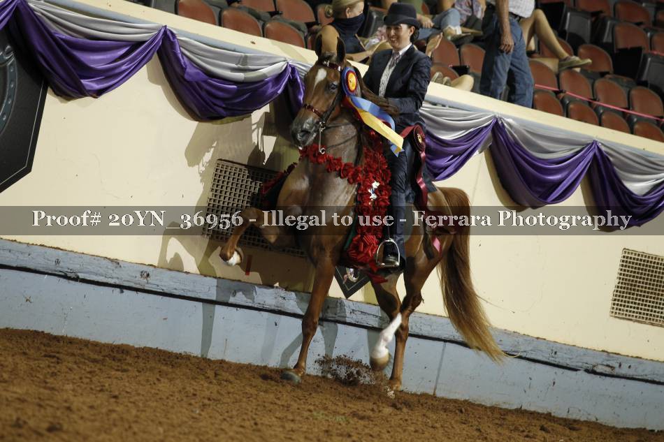 Proof Number 20YN_36956