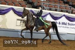 20YN_29874 thumbnail