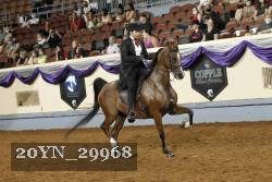 20YN_29968 thumbnail