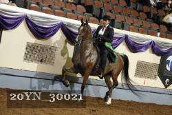 20YN_30021 thumbnail
