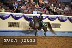 20YN_30022 thumbnail