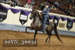 20YN_30031 thumbnail