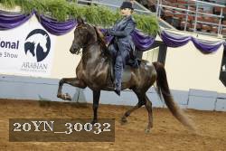 20YN_30032 thumbnail
