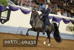 20YN_40432 thumbnail