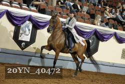 20YN_40472 thumbnail