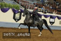 20YN_40482 thumbnail