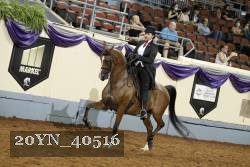 20YN_40516 thumbnail