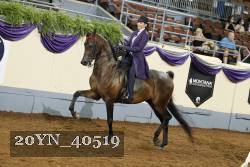 20YN_40519 thumbnail