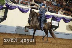20YN_40521 thumbnail
