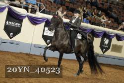 20YN_40523 thumbnail
