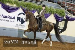 20YN_40525 thumbnail