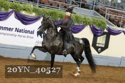 20YN_40527 thumbnail