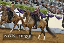 20YN_40530 thumbnail