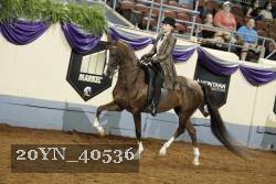 20YN_40536 thumbnail