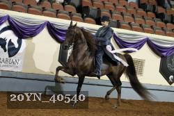 20YN_40540 thumbnail