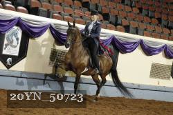 20YN_50723 thumbnail