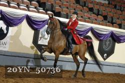 20YN_50736 thumbnail