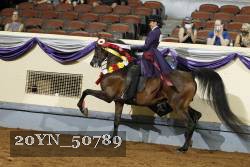 20YN_50789 thumbnail