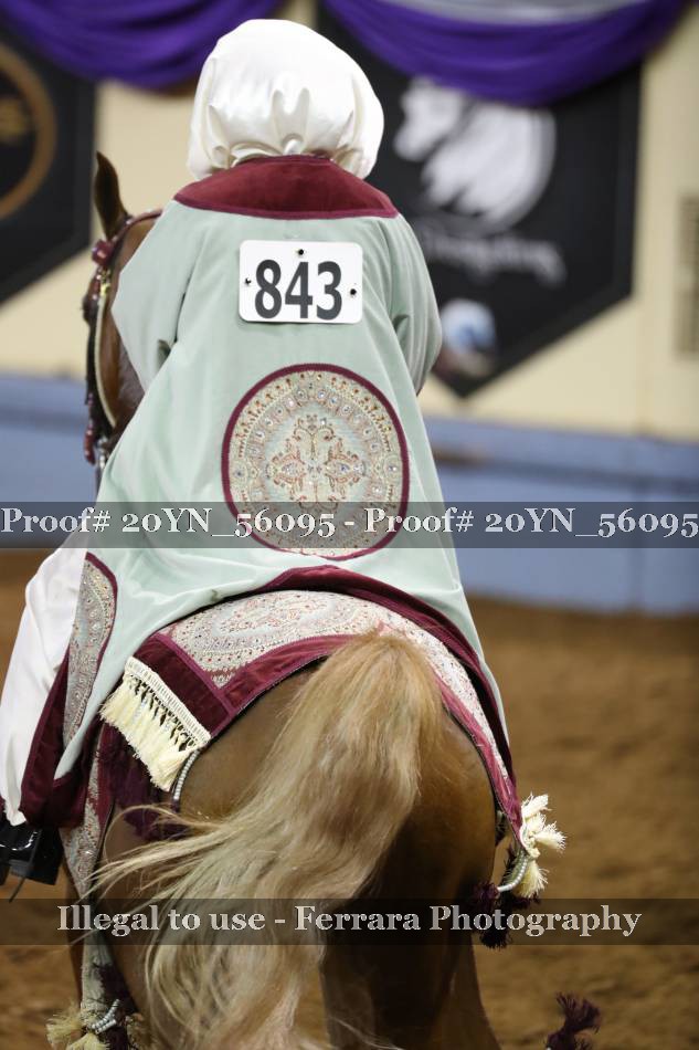 Proof Number 20YN_56095