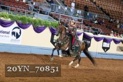 20YN_70851 thumbnail