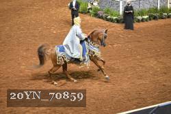 20YN_70859 thumbnail