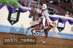 20YN_70861 thumbnail