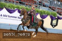 20YN_70872 thumbnail