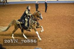 20YN_70886 thumbnail