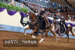 20YN_70896 thumbnail