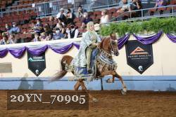 20YN_70905 thumbnail