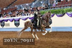 20YN_70911 thumbnail
