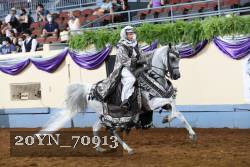 20YN_70913 thumbnail