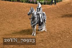 20YN_70923 thumbnail