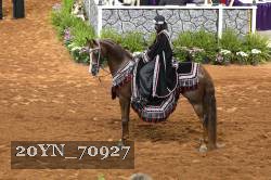 20YN_70927 thumbnail