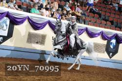 20YN_70995 thumbnail